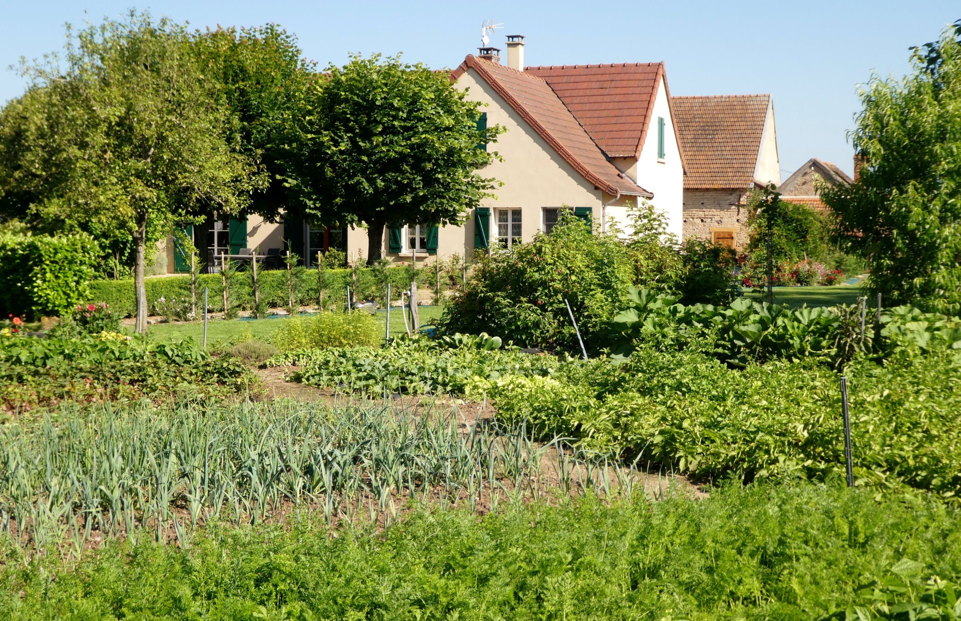 Jardin potager