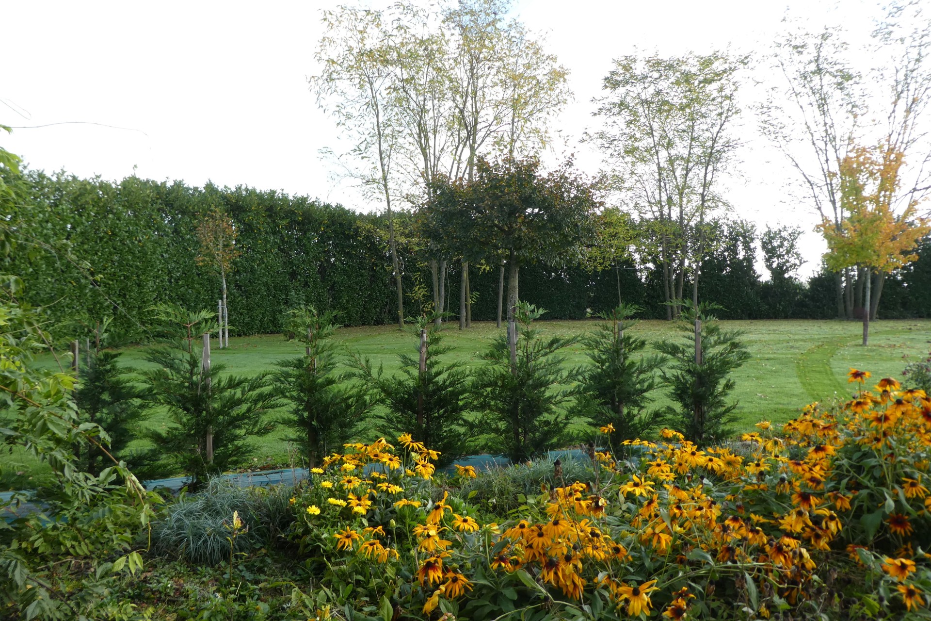 Parc extérieur à l' automne