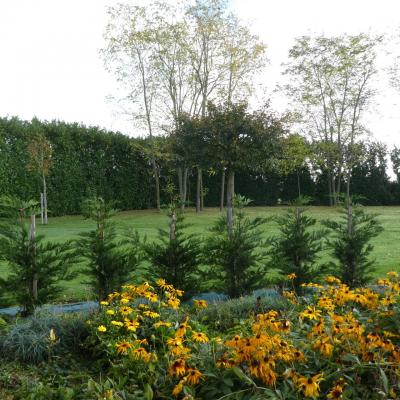 Parc extérieur à l' automne