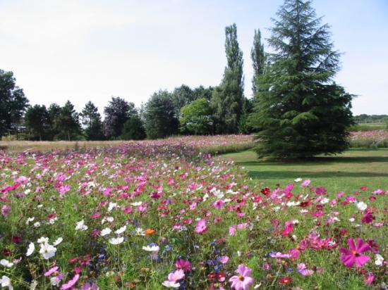 Parc du moulin liron